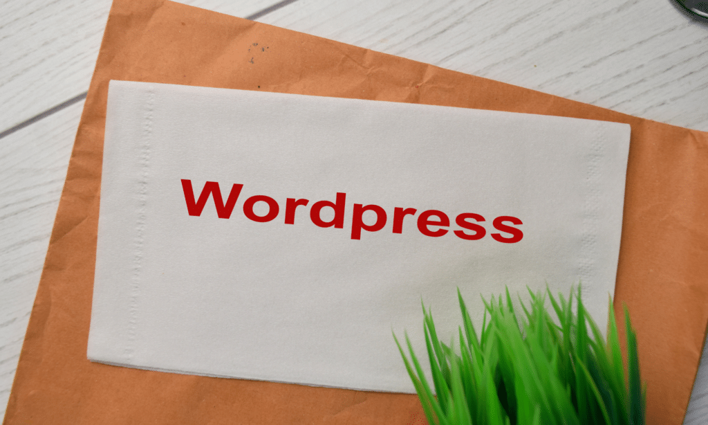 Wordpress Webdesign Regensburg