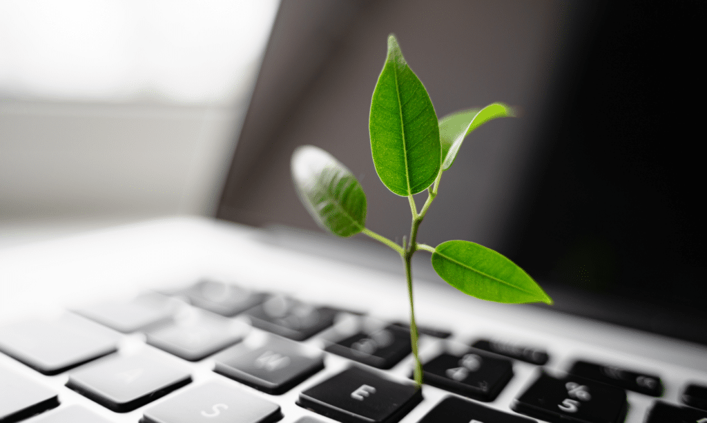 SEO Agentur Regensburg